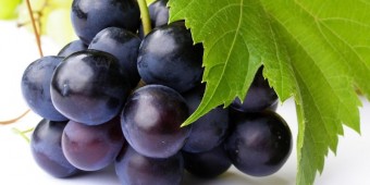 19730-grapes-800-photography-wallpaper