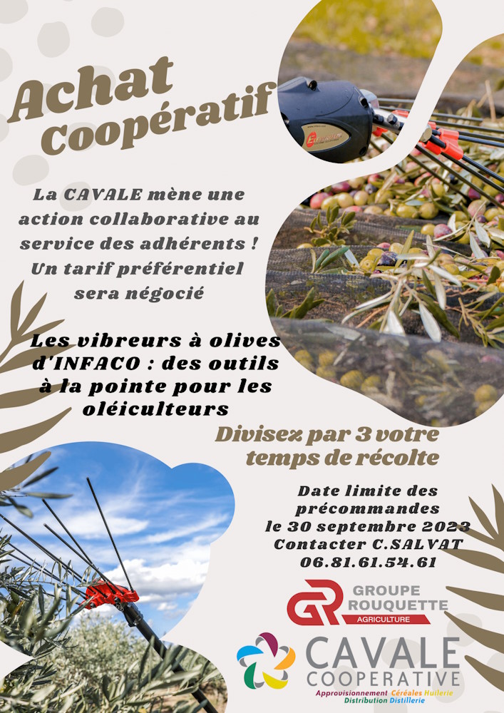 ACHAT COOPÉRATIF PEIGNE ÉLÉCTRIQUE OLIVES