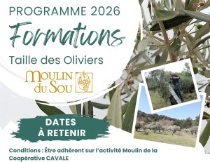 FORMATIONS TAILLE DES OLIVIERS