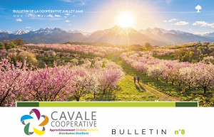 BULLETIN DE LA COOPÉRATIVE n°8